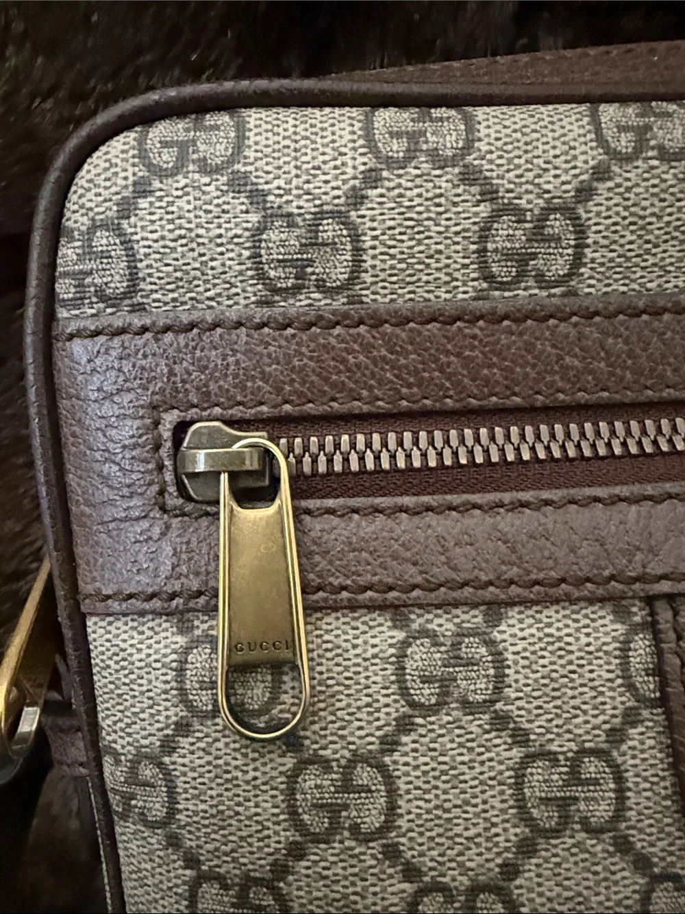 Gucci crossbody signature